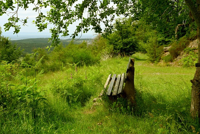 的石油供应 的石油供应